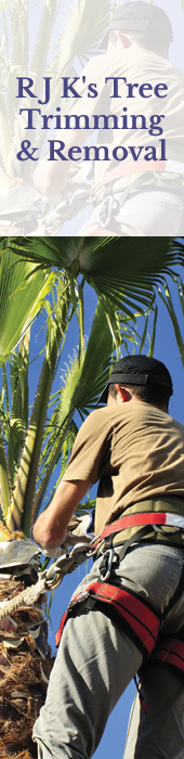 RJK TREE TRIMMING & REMOVAL