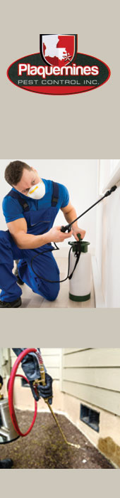 PLAQUEMINES PEST CONTROL INC.