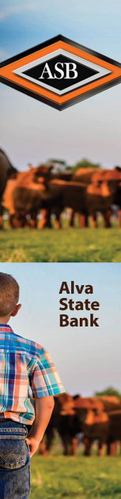 ALVA STATE BANK & TRUST COMPANY