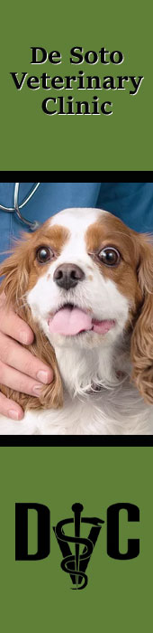 DE SOTO VETERINARY CLINIC