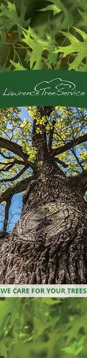 LAWRENCE TREE SERVICE