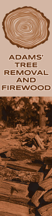 ADAMS TREE REMOVAL AND FIREWOOD