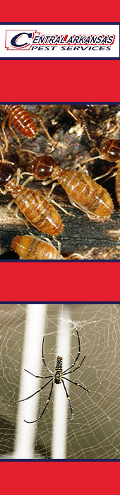 CENTRAL ARKANSAS PEST SERVICES