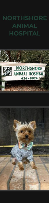 NORTHSHORE ANIMAL HOSPITAL INC