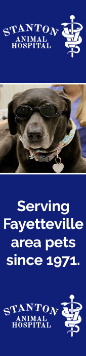 STANTON ANIMAL HOSPITAL