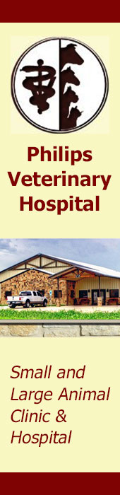 PHILIPS VETERINARY HOSPITAL