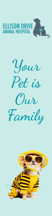 POTRANCO VETERINARY CLINIC