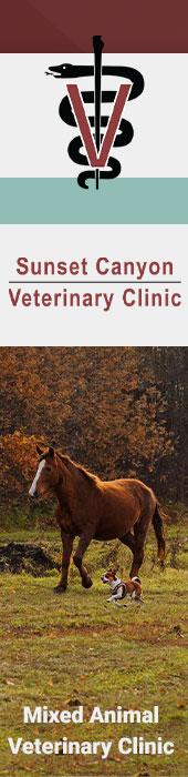 SUNSET CANYON VETERINARY CLINIC