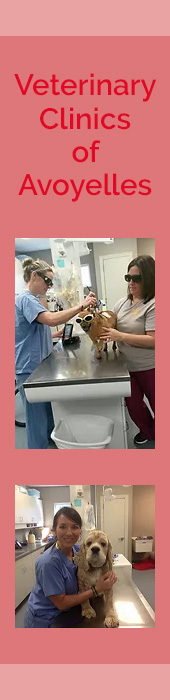 VETERINARY CLINICS OF AVOYELLES