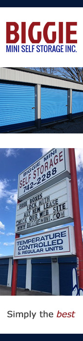 BIGGIE MINI SELF STORAGE