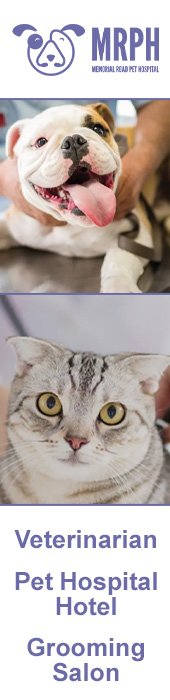 MEMORIAL ROAD PET HOSPITAL