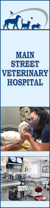 MAIN STREET VETERINARY HOSPITAL
