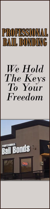 PROFESSIONAL BAIL BONDS
