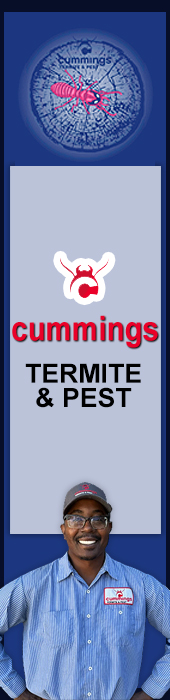 CUMMINGS TERMITE & PEST
