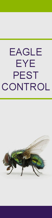 EAGLE EYE PEST CONTROL