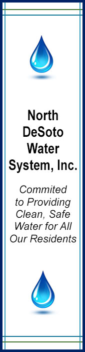 NORTH DESOTO WATER SYSTEMS INC