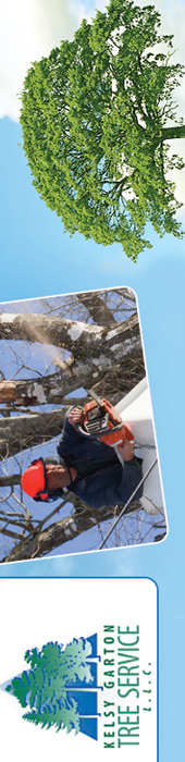 KELSY GARTON TREE SERVICE LLC
