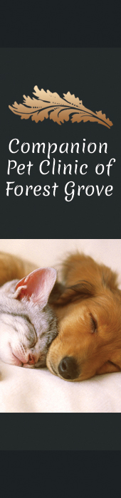 COMPANION PET CLINIC