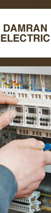 DAMRAN ELECTRIC