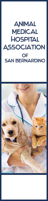 ANIMAL MEDICAL HOSPITAL ASSOCIATION