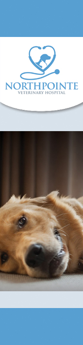 NORTHPOINTE VETERINARY HOSPITAL