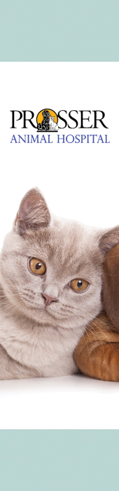 PROSSER ANIMAL HOSPITAL