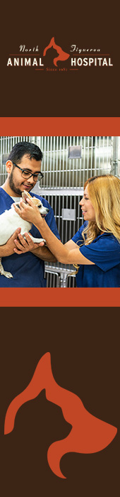 NORTH FIGUEROA ANIMAL HOSPITAL