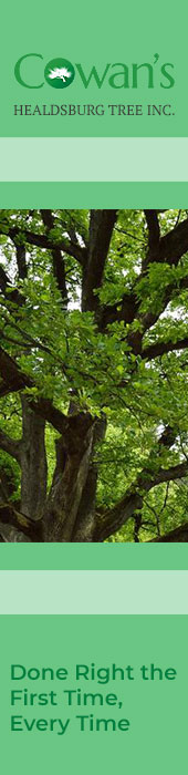 COWAN'S HEALDSBURG TREE, INC.