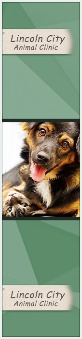 LINCOLN CITY ANIMAL CLINIC
