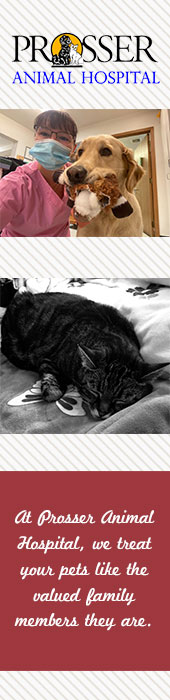 PROSSER ANIMAL HOSPITAL