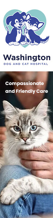 WASHINGTON DOG AND CAT HOSPITAL