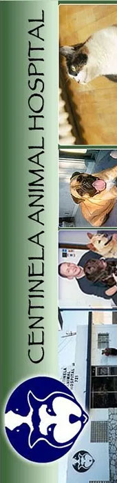 CENTINELA ANIMAL HOSPITAL