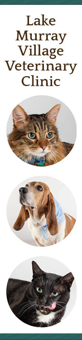 LAKE MURRAY VILLAGE VETERINARY CLINIC