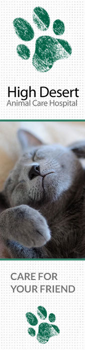 HIGH DESERT ANIMAL CARE HOSPITAL
