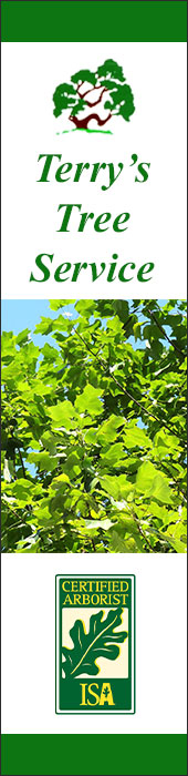 TERRY'S TREE SERVICE