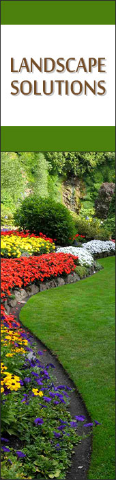 LANDSCAPE SOLUTIONS LLC