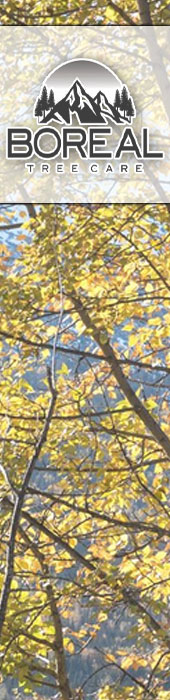 BOREAL TREE CARE