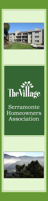 THE VILLAGE SERRAMONTE HOMEOWNERS ASSOCIATION