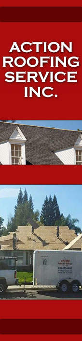ACTION ROOFING SERVICE INC
